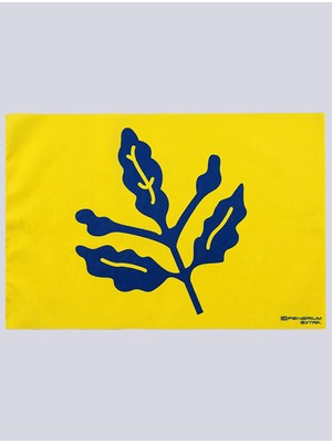 Fenerbahçe 250X350 Palamut Bayrak