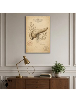 Gaagart Tekli Dikey Kanvas Tablo Vintage Pankreas Anatomisi Botanik Medikal Poster