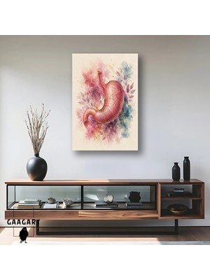 Gaagart Tekli Dikey Kanvas Tablo Pembe Suluboya Mide Anatomisi Medikal Sanat