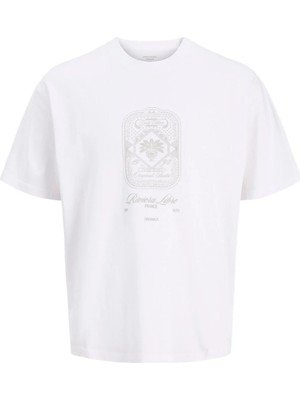 Jack & Jones Jorcassıs Tonal Tee Ss Crew Neck
