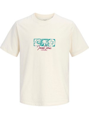 Jack & Jones Jorrıvıera Front Tee Ss Crew Neck Fst