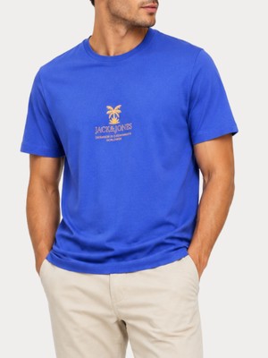 Jack & Jones Jorhyeres Tee Ss Crew Neck Fst