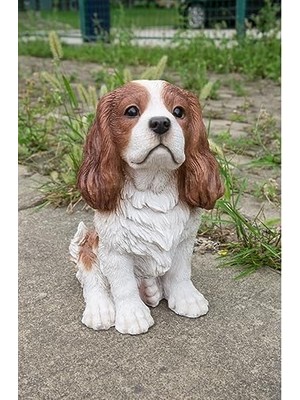 Alkar Store Hi-Line Gift 87803-C Kahverengi/beyaz Kral Charles Spaniel Oturan Heykel