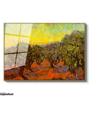 Tablofest Altın Renk Metal Çerçeveli Tamperli Cam Tablo Vincent van Gogh Zeytin Ağaçları Tarlası Ressam Tablosu Dekoru