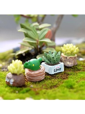 Himi Teraryum Objeleri 4'lü Kaktüs Dekoratif Biblo ve Diorama Objesi