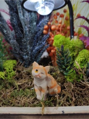 Himi Teraryum Objeleri Kedi Dekoratif Biblo ve Diorama Objesi