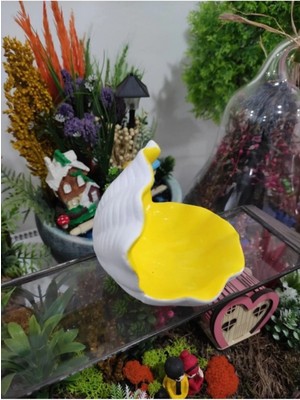 Himi Teraryum Objeleri Istiridye Midye Dekoratif Biblo ve Diorama Objesi