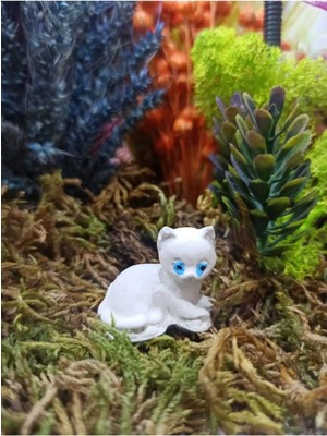 Himi Teraryum Objeleri 2 Adet Kedi Dekoratif Biblo ve Diorama Objesi