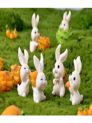 Himi Teraryum Objeleri Tavşan Set 11 Parça Dekoratif Biblo ve Diorama Objesi