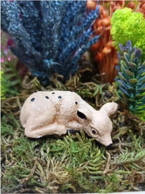Himi Teraryum Objeleri Ceylan Dekoratif Biblo ve Diorama Objesi