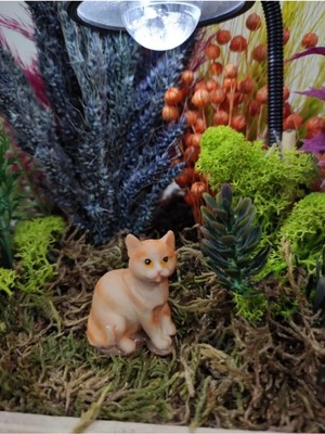Himi Teraryum Objeleri Kedi Dekoratif Biblo ve Diorama Objesi
