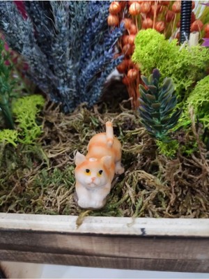 Himi Teraryum Objeleri Kedi Dekoratif Biblo ve Diorama Objesi