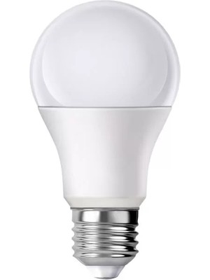 Uravas Store Powermaster PM-29496 E27 12 Volt 10 Watt 6500K Yerli Üretim Beyaz LED Ampul