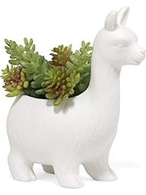 Kikkerland Vazo Lama