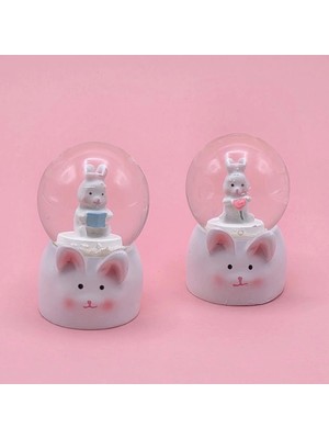 Hace Bazaar Mini Boy Tavşan Tasarımlı Kar Küresi