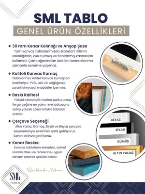 SML Tablo Gece Yıldızlar Altında Mavi Yuvarlak Ağaç Yatay Çerçeveli Kanvas Tablo