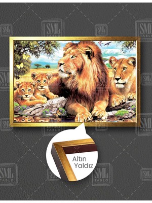 SML Tablo Doğada Aslan Ailesi Yatay Çerçeveli Kanvas Tablo