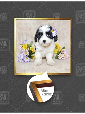 SML Tablo Yavru Köpek Çiçek Fotoğrafçı Yakın Çekim Masum Kare Çerçeveli Kanvas Tablo