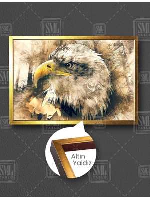 SML Tablo Grunge Efektli Kartal Eagle Hayvan Yatay Çerçeveli Kanvas Tablo