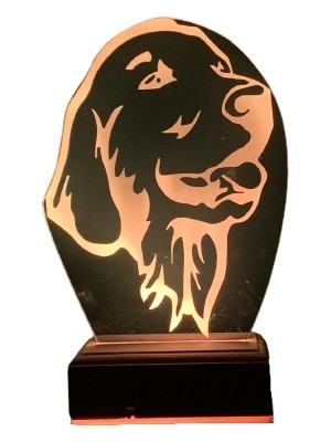 Modiwa Design Golden Köpek 16 Renk Gece Lambası