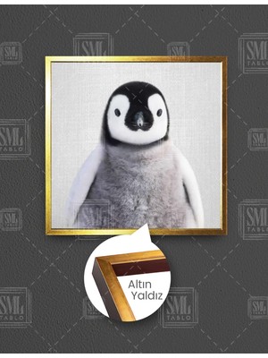 SML Tablo Bebek Penguen Şirin Çocuk Odası Kare Çerçeveli Kanvas Tablo