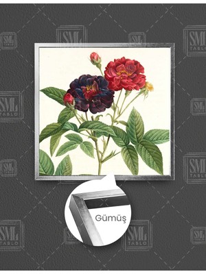SML Tablo Kırmızı ve Mor Açmış Tomurcuklu Gül Dalı Kare Çerçeveli Kanvas Tablo