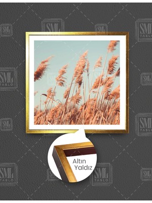 SML Tablo Pampas Tarlası Natural Romantik Kurumuş Bitki Kare Çerçeveli Kanvas Tablo