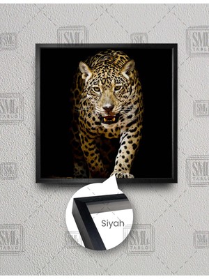 SML Tablo Vahşi Leopar Growlıng Leopard Afrika Aslan Kral Kare Çerçeveli Kanvas Tablo