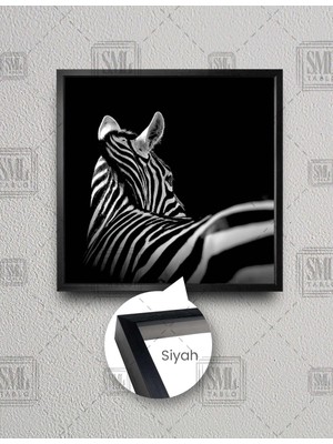SML Tablo Zebra Arkası Dönük Siyah Beyaz Hayvan Dekor Kare Çerçeveli Kanvas Tablo