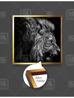SML Tablo Ağzını Açmış Vahşi Aslan Güç Kral King Leon Kare Çerçeveli Kanvas Tablo