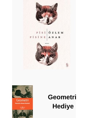 Everest Yayınları Pisi Pisine + Geometri Hediye