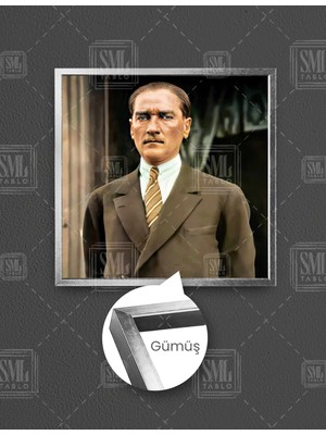 SML Tablo Sert Bakışlı Mustafa Kemal Atatürk Kare Çerçeveli Kanvas Tablo
