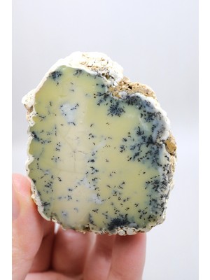 Healcrystal Sarı Dendritik Opal Tekli | Merlinite Örneği, Siyah Dendritler Ile, 90GR