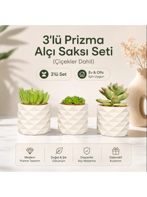 Hep İndirimli 3'lü Beyaz Renk Beton Sukulent ve Kaktüs Saksı (Çiçek ve Saksı)