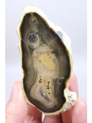 Healcrystal Doğal Kahverengi Dendritik Opal Merlinit Dilimi - Topraksı Kahve & Krem Cila Taşı, 87G