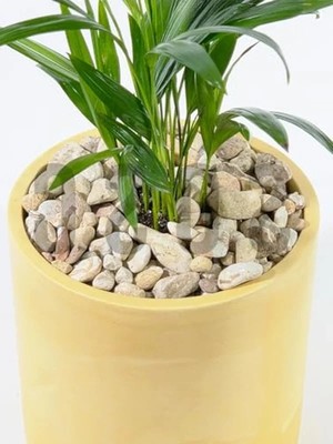 Aesco Dekoratif Dolomit Çakıl Taşı, 1-3 Cm, 1 kg
