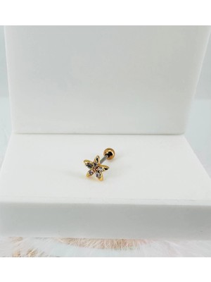 Trend Kapında Zirkon Taşlı Uç Kısmı : Pirinç Kıkırdak Bar Uzunluğu : 6 mm / Bar Kalınlığı 0.8 mm / Top Boyu 3 mm - PT0024-1