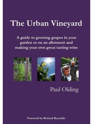 LULU The Vineyard