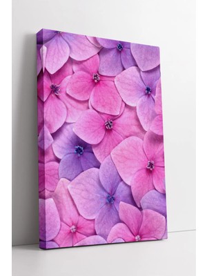 Mushen Studio Pembe Mor Ortanca Desenli Canlı Renkli Modern Çiçek Temalı Dekoratif Duvar Kanvas Tablo Duvar Dekoru