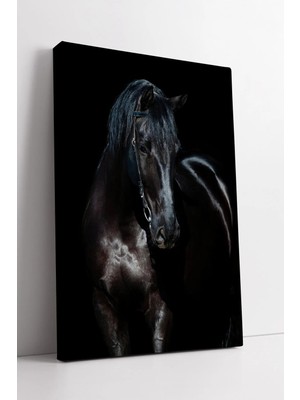 Mushen Studio Siyah At  Gücü ve Asaleti Temsil Eden Klasik Equestrian Tarzı Duvar Dekoru Kanvas Tablo Duvar Dekoru
