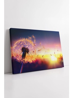 Mushen Studio Gün Batımı Işığında Karahindiba Fotoğraf  Renkli Atmosfer Sanatsal Dekoratif Tasarım Kanvas Tablo Du