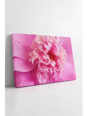 Mushen Studio Pembe Çiçek Yakın Çekim Soft Tonlarda Zarif Detaylı Modern Dekoratif Sanatsal Kanvas Tablo Duvar Dek