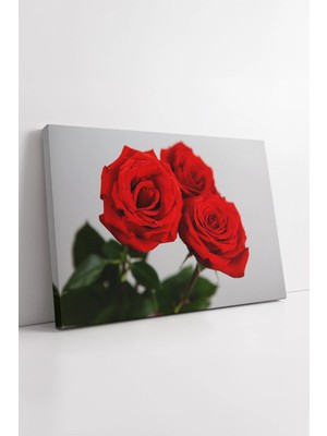 Mushen Studio Kırmızı Gül Buketi  Romantik Çiçek Temalı Modern Şık Duvar Dekoru Salon Tasarımı Kanvas Tablo Duvar