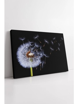 Mushen Studio Siyah Fon Üzerinde Uçan Karahindiba Tohumları  Minimal Doğa Temalı Sanat Tasarımı Kanvas Tablo Duvar