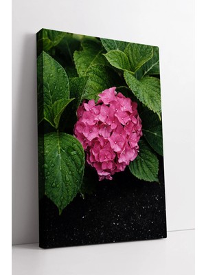 Mushen Studio Doğal Bahçe Atmosferli Pembe Ortanca Çiçek Detaylı Modern Dekoratif Kanvas Tablo Duvar Dekoru Salon