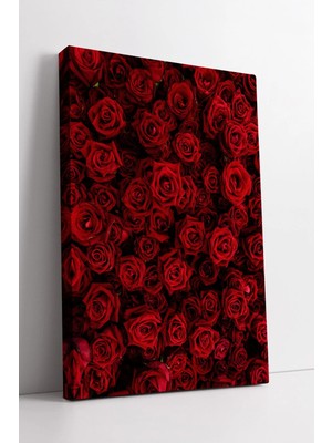Mushen Studio Kırmızı Gül Duvar Dizaynı Temalı Romantik Çiçek Kompozisyonlu Modern Dekoratif Kanvas Tablo Duvar De