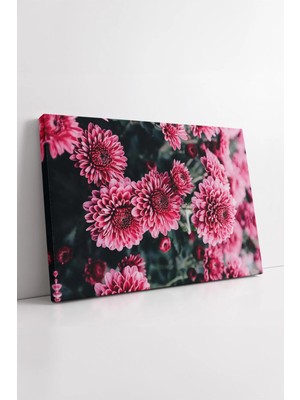 Mushen Studio Canlı Pembe Kasımpatı Çiçek Tarlası Detaylı Makro  Yoğun Renk Tonlarında Floral Sanat Kanvas Tablo D