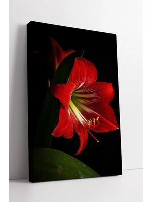 Mushen Studio Kırmızı Çiçek Detaylı Minimal Sanat Tasarımı Siyah Fon Üzerine Şık Dekor Kanvas Tablo Duvar Dekoru S