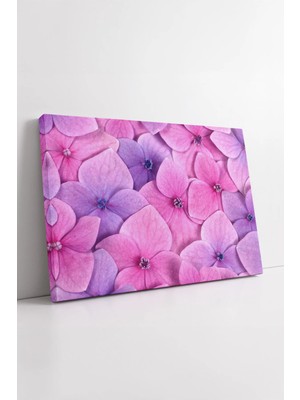 Mushen Studio Pembe Mor Ortanca Çiçek Deseni Makro  Yumuşak Renk Paleti Estetik Floral Doku Tasarımı Kanvas Tablo