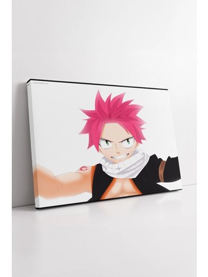 Mushen Studio Fairy Tail Natsu Dragneel Güçlü Anime Karakter Dinamik Poz Temalı Modern Dekoratif Kanvas Tablo Duva